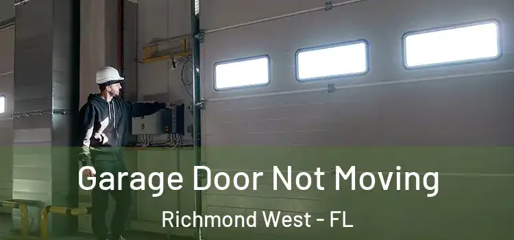  Garage Door Not Moving Richmond West - FL