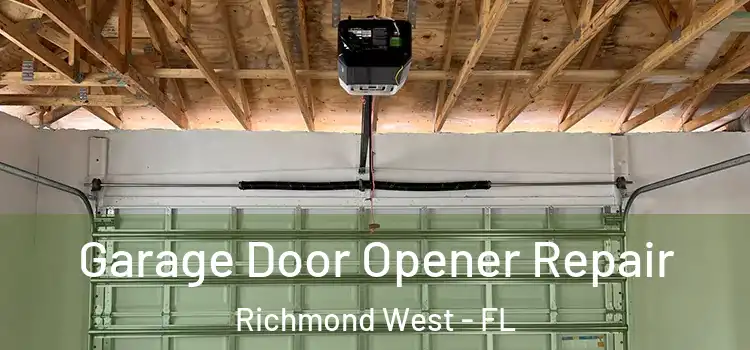  Garage Door Opener Repair Richmond West - FL