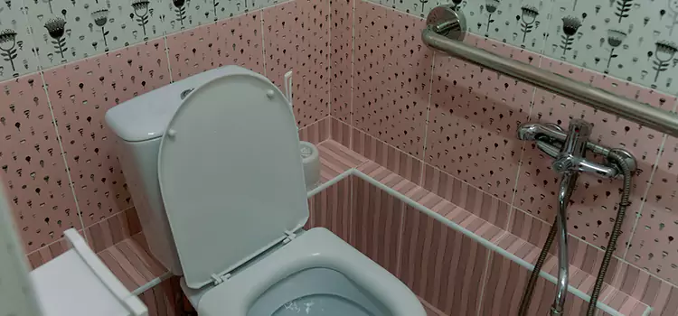 Meeting Diverse Needs With Accessible Restroom Solutions in Richmond West, FL