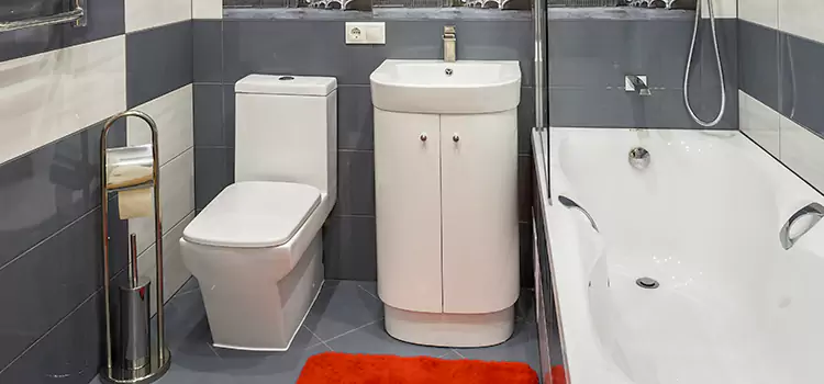 Hansgrohe Shaving Mirror Richmond West